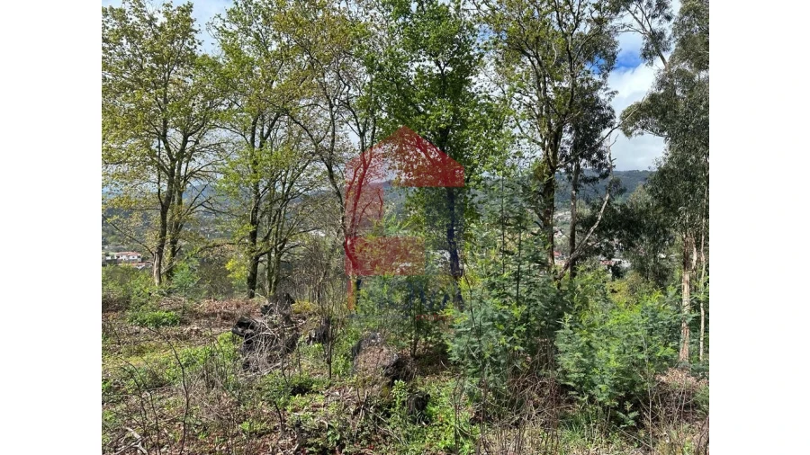 Moradia para Venda em Pico de Regalados, Gondiães e Mós Foto 12