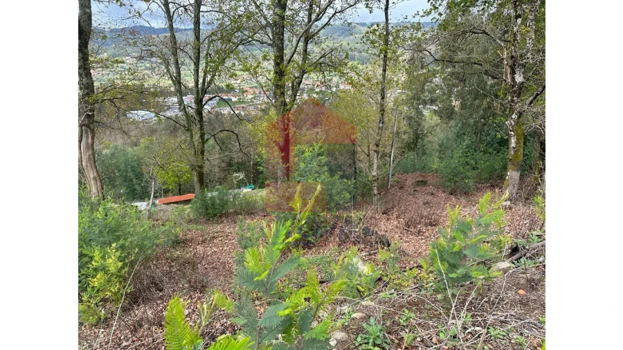 Moradia para Venda em Pico de Regalados, Gondiães e Mós Foto 11