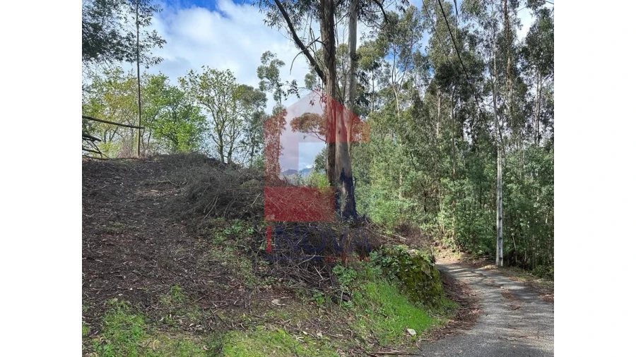 Moradia para Venda em Pico de Regalados, Gondiães e Mós Foto 24