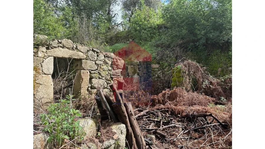 Moradia para Venda em Pico de Regalados, Gondiães e Mós Foto 3