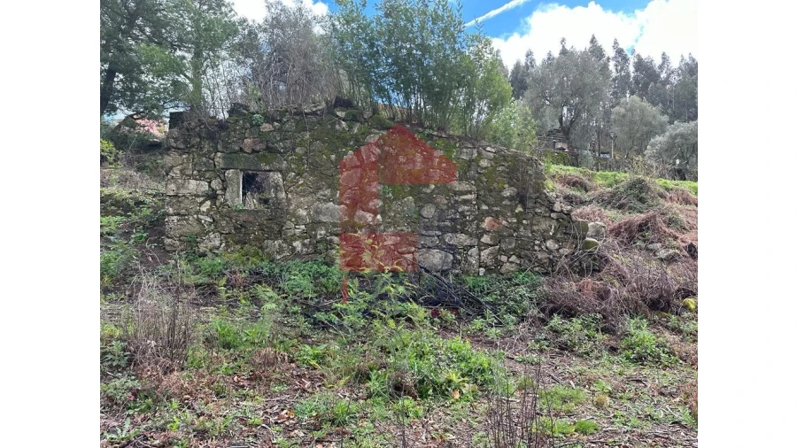 Moradia para Venda em Pico de Regalados, Gondiães e Mós Foto 21