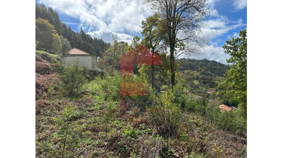 Moradia para Venda em Pico de Regalados, Gondiães e Mós Foto 15