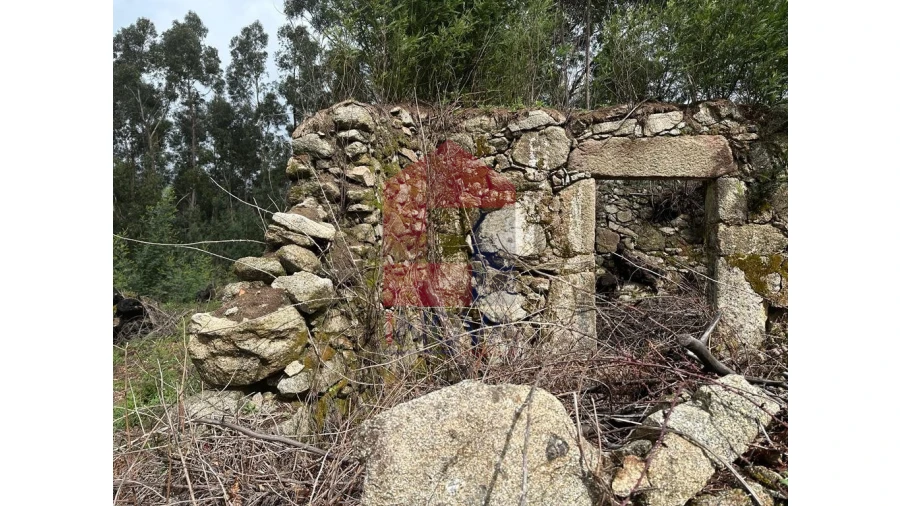 Moradia para Venda em Pico de Regalados, Gondiães e Mós Foto 4