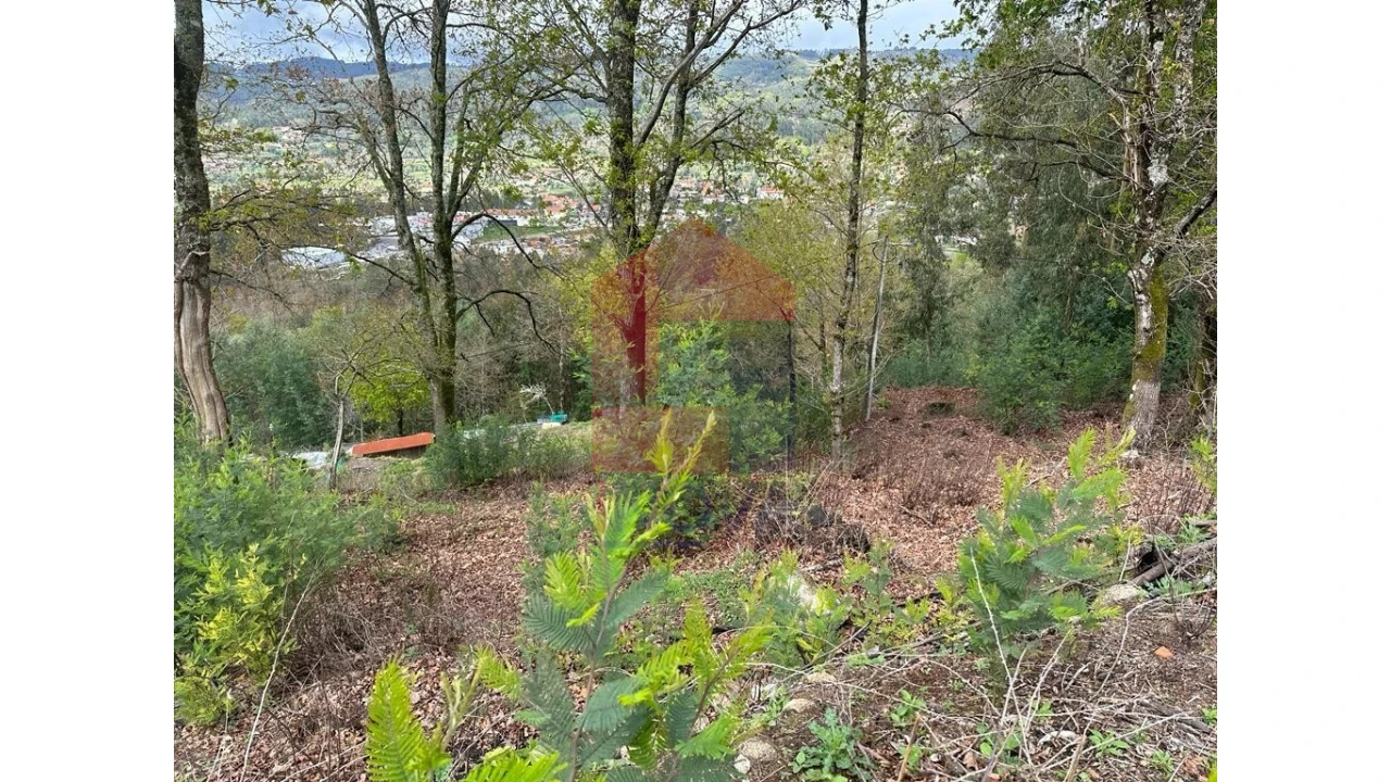 Moradia para Venda em Pico de Regalados, Gondiães e Mós Foto 11