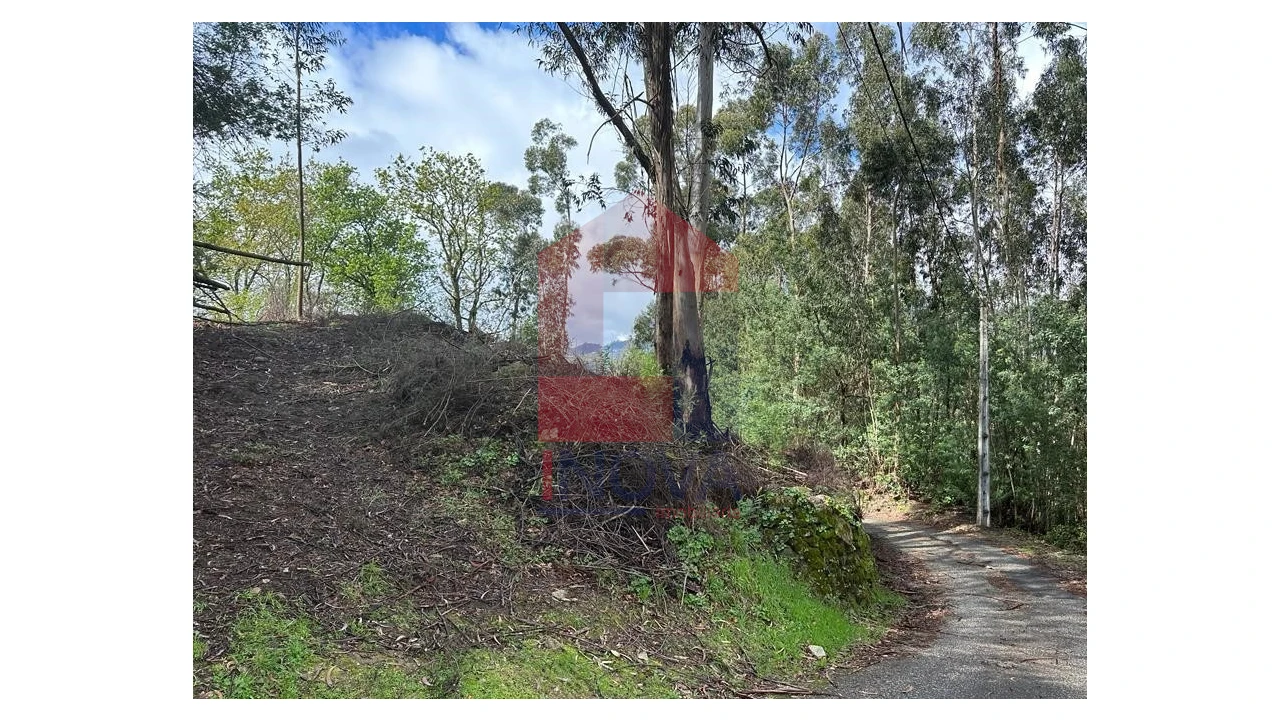 Moradia para Venda em Pico de Regalados, Gondiães e Mós Foto 24