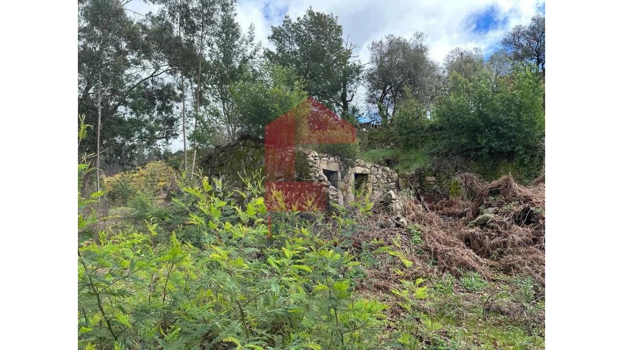 Moradia para Venda em Pico de Regalados, Gondiães e Mós Foto 19