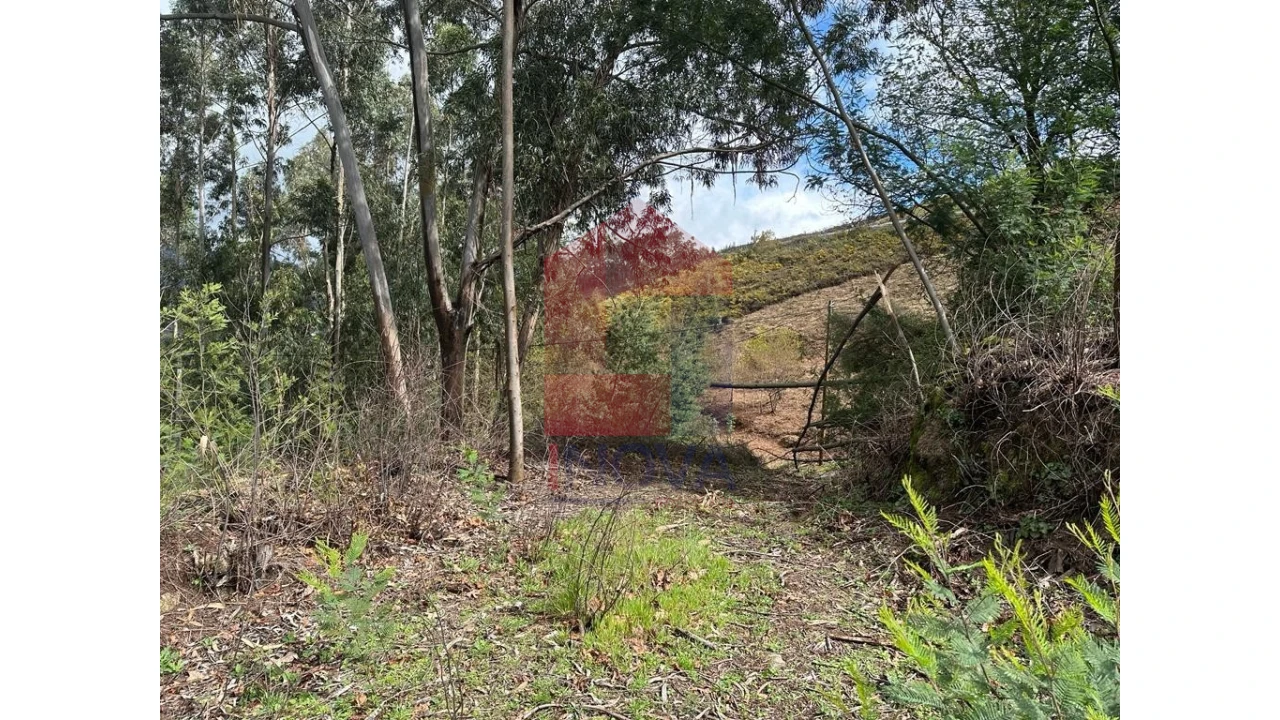 Moradia para Venda em Pico de Regalados, Gondiães e Mós Foto 23