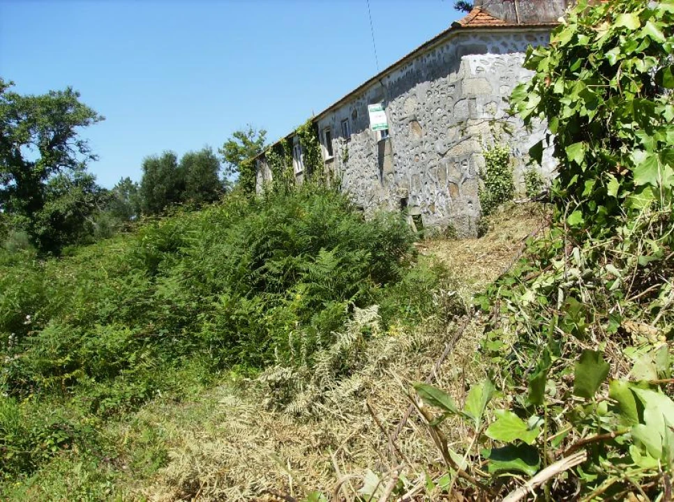 Quinta T0 para Venda em Freixieiro de Soutelo Foto 4