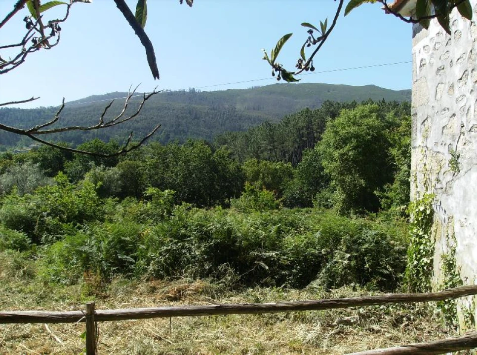Quinta T0 para Venda em Freixieiro de Soutelo Foto 10