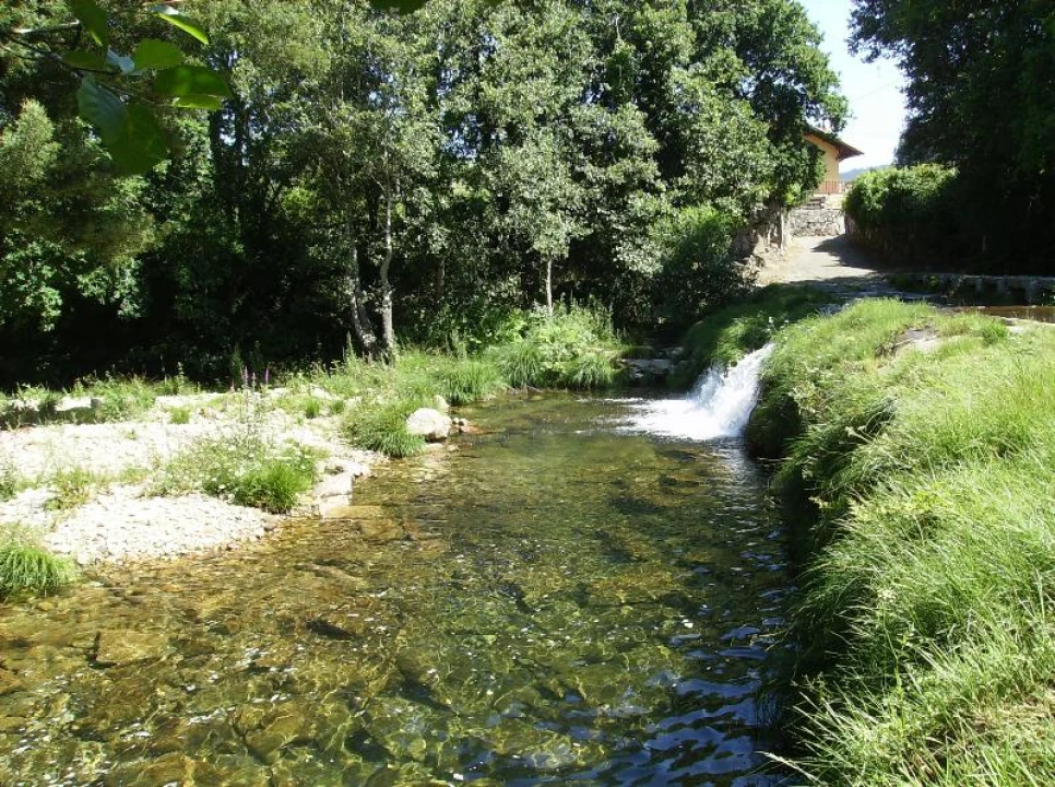 Quinta T0 para Venda em Freixieiro de Soutelo Foto 2