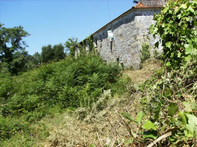 Quinta T0 para Venda em Freixieiro de Soutelo Foto 4