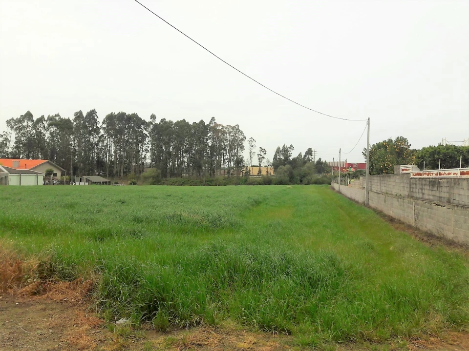 Terreno Misto para Venda em Gião Foto 22