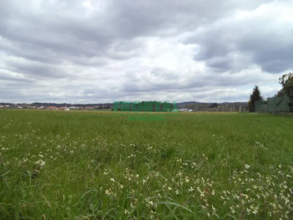 Terreno Misto para Venda em Gião Foto 19
