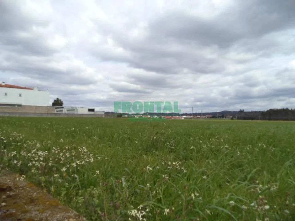 Terreno Misto para Venda em Gião Foto 20