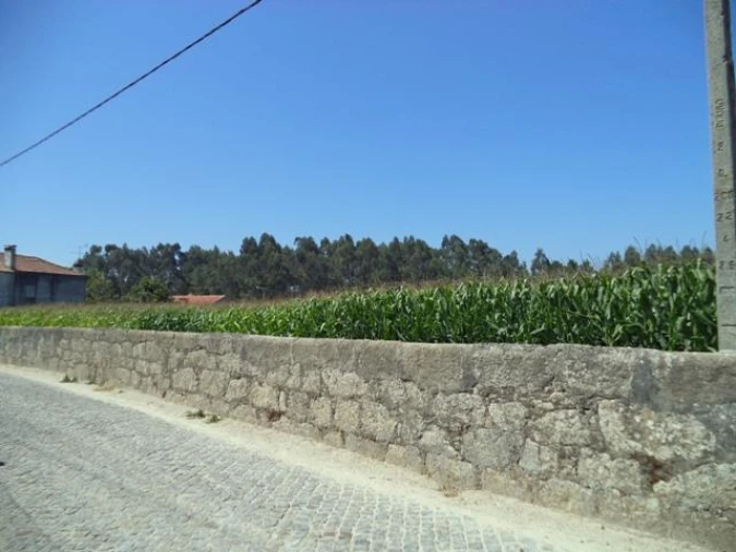 Terreno Misto para Venda em Gião Foto 12