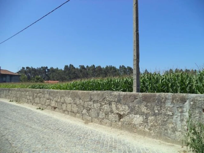 Terreno Misto para Venda em Gião Foto 13
