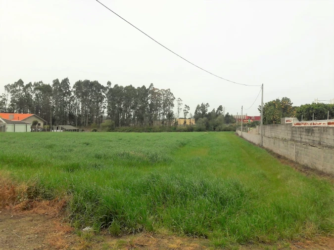 Terreno Misto para Venda em Gião Foto 22