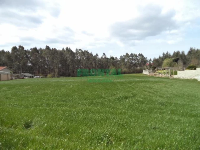 Terreno Misto para Venda em Gião Foto 16