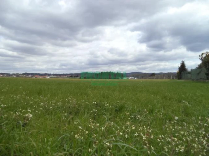 Terreno Misto para Venda em Gião Foto 19