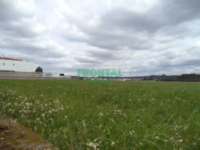 Terreno Misto para Venda em Gião Foto 20