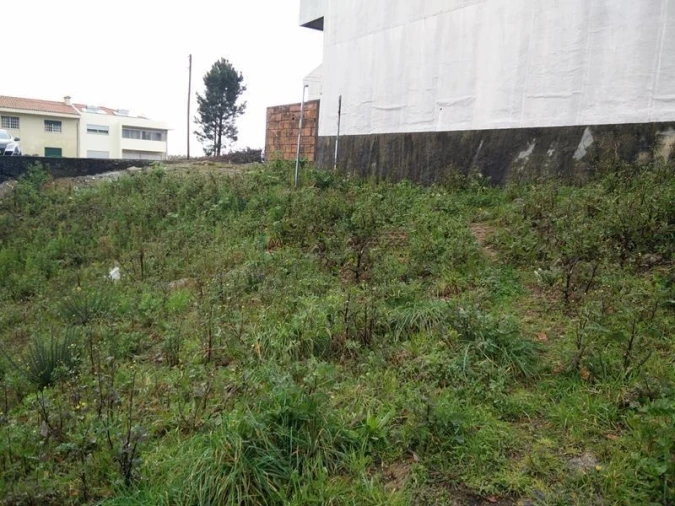 Terreno para Venda em Coronado (São Romão e São Mamede) Foto 2