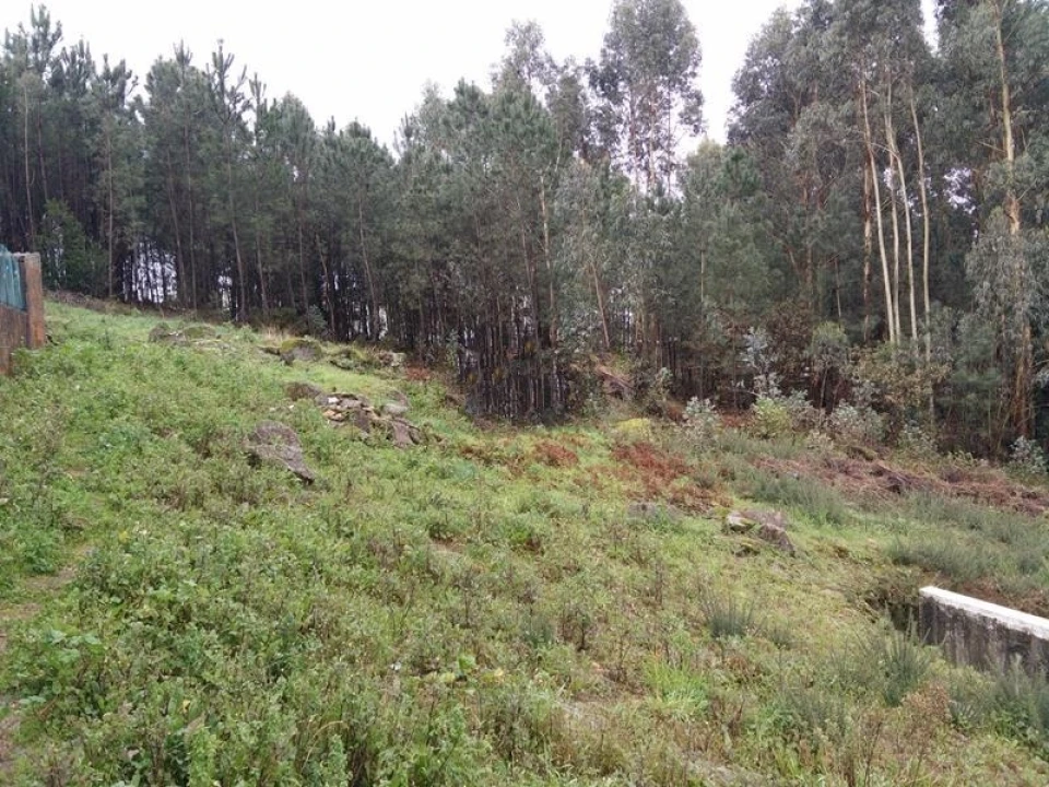Terreno para Venda em Coronado (São Romão e São Mamede) Foto 1