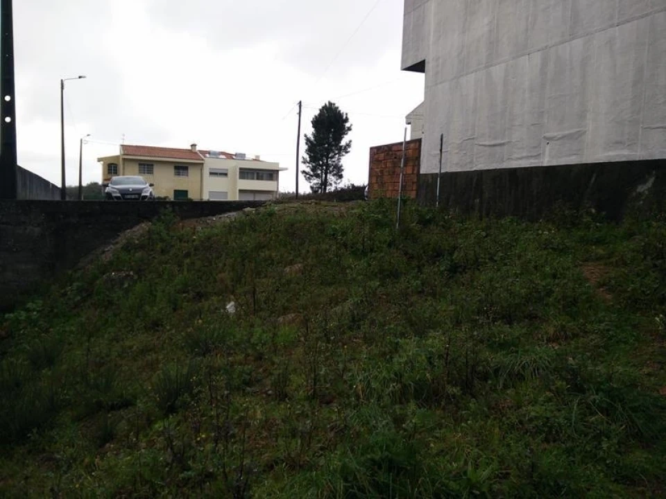 Terreno para Venda em Coronado (São Romão e São Mamede) Foto 4