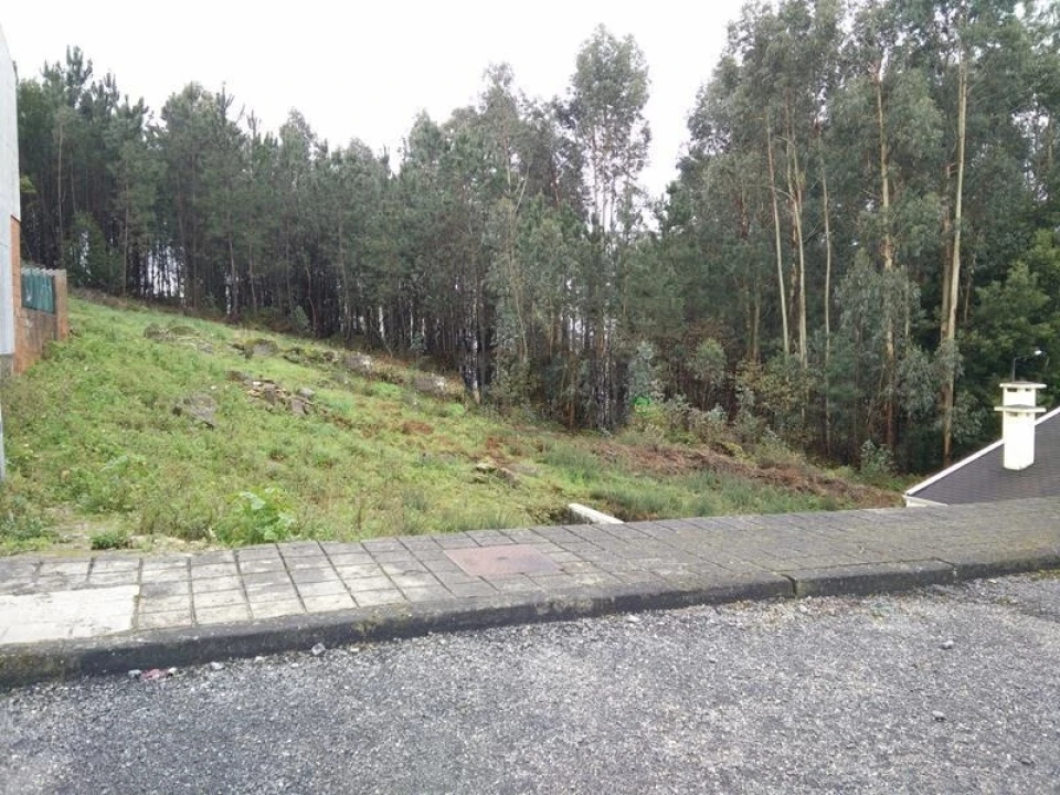 Terreno para Venda em Coronado (São Romão e São Mamede) Foto 3