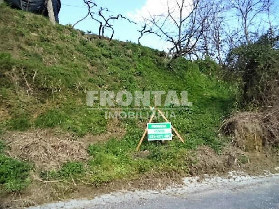 Terreno Agricola ou Rústico para Venda em Luzim e Vila Cova Foto 6