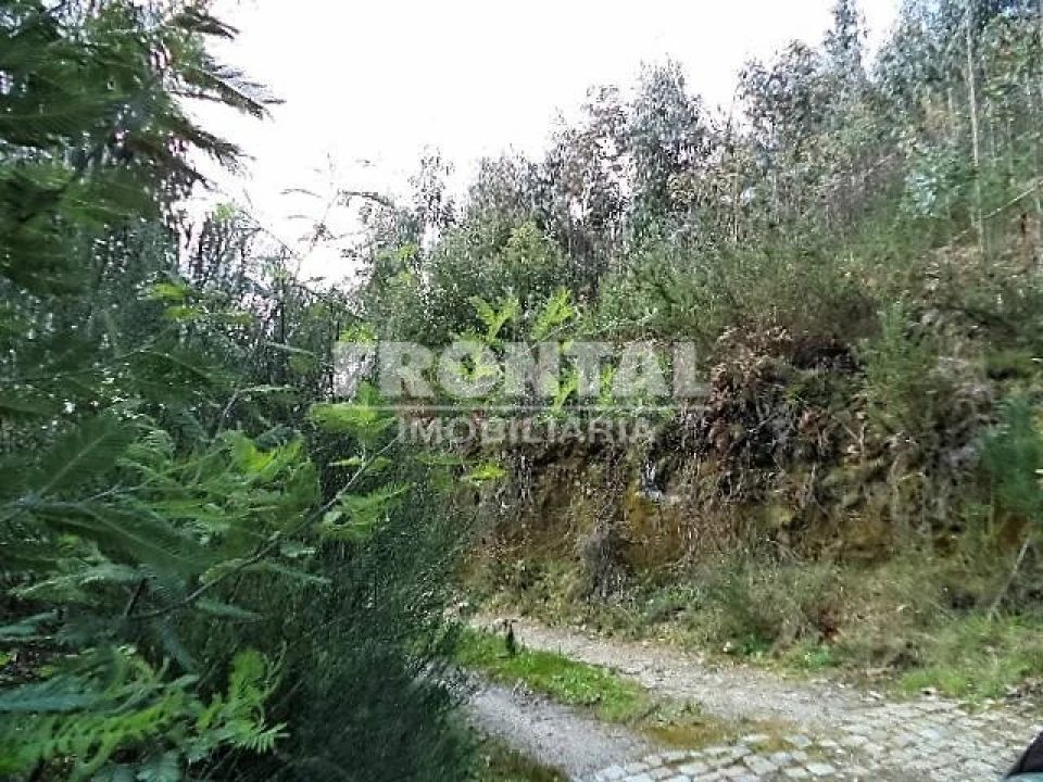 Terreno Agricola ou Rústico para Venda em Luzim e Vila Cova Foto 5