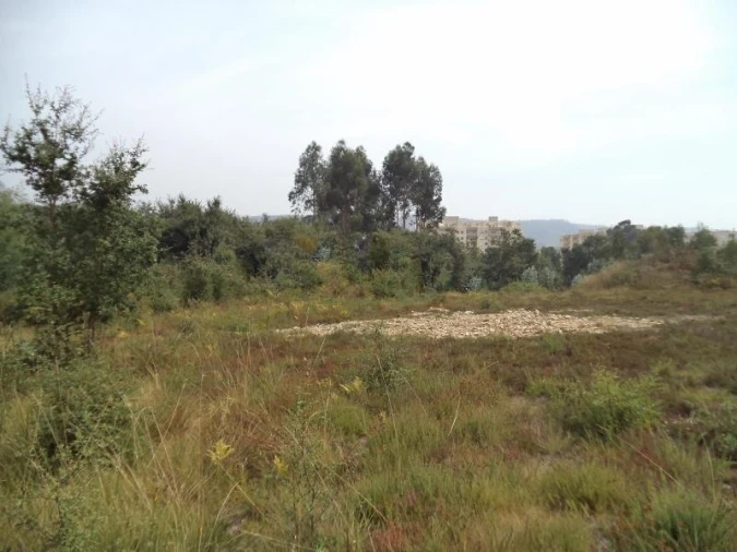 Terreno Agricola ou Rústico para Venda em Valongo Foto 3
