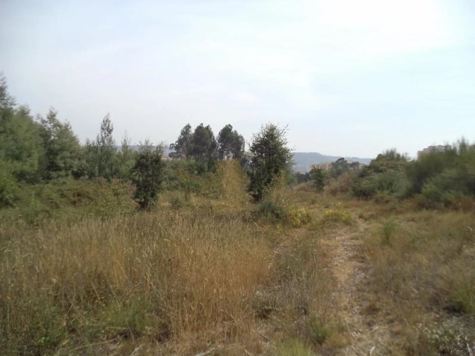 Terreno Agricola ou Rústico para Venda em Valongo Foto 1