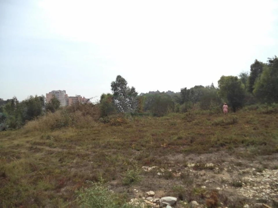 Terreno Agricola ou Rústico para Venda em Valongo Foto 4