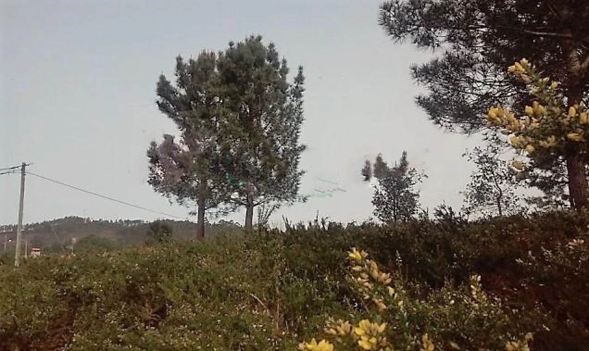 Terreno para Venda em Seixas Foto 1