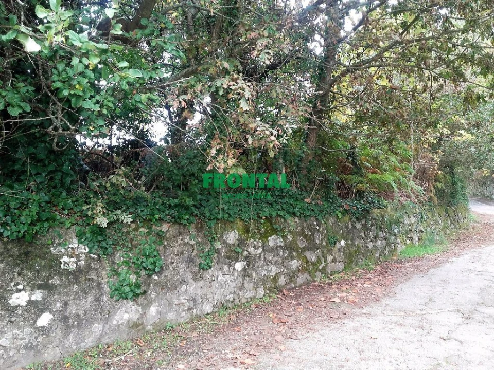 Terreno para Venda em Vilar de Mouros Foto 2