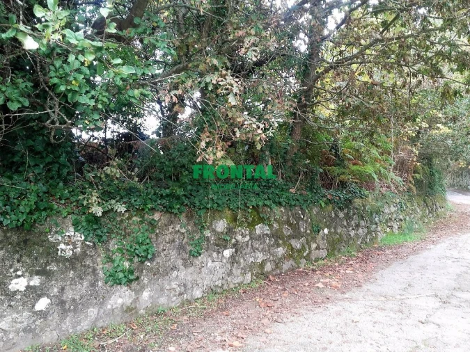 Terreno para Venda em Vilar de Mouros Foto 2