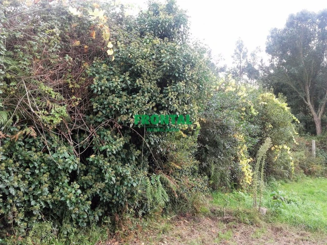 Terreno para Venda em Vilar de Mouros Foto 4