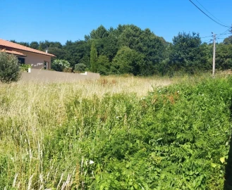 Terreno para Venda em Seixas