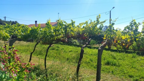 Terreno para Venda em Seixas