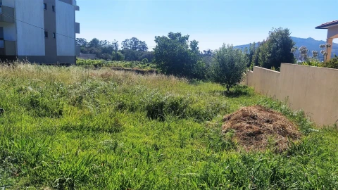 Terreno para Venda em Seixas