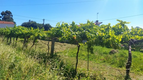 Terreno para Venda em Seixas