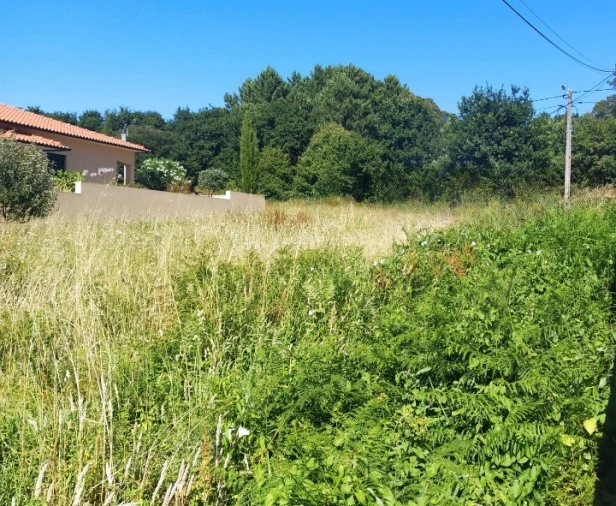 Terreno para Venda em Seixas Foto 4