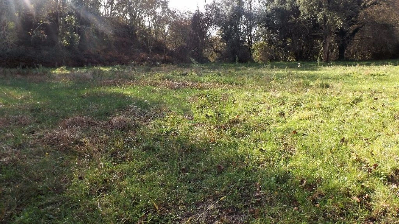 Terreno para Venda em Seixas Foto 7