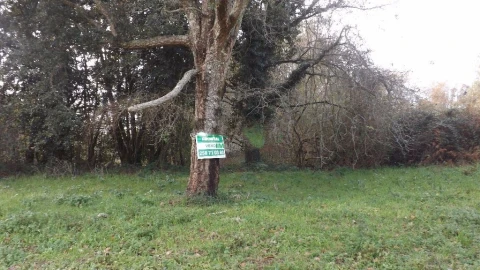 Terreno para Venda em Seixas