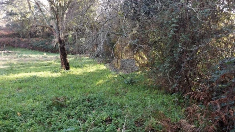 Terreno para Venda em Seixas