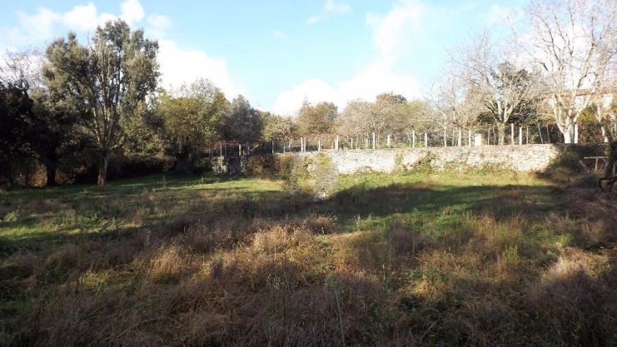 Terreno para Venda em Seixas Foto 5