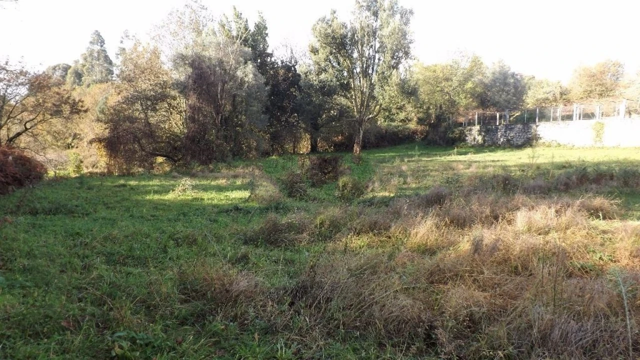 Terreno para Venda em Seixas Foto 6
