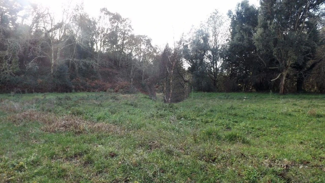 Terreno para Venda em Seixas Foto 3