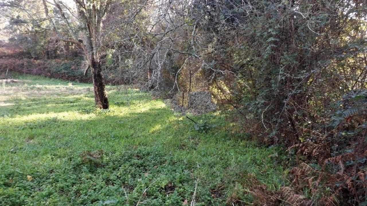Terreno para Venda em Seixas Foto 2