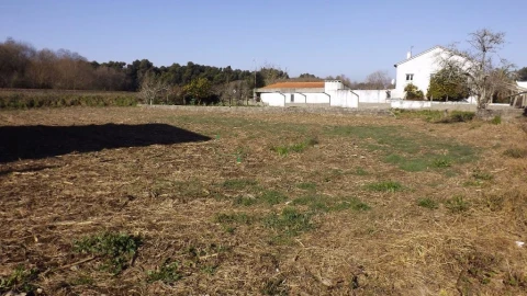 Terreno para Venda em Seixas